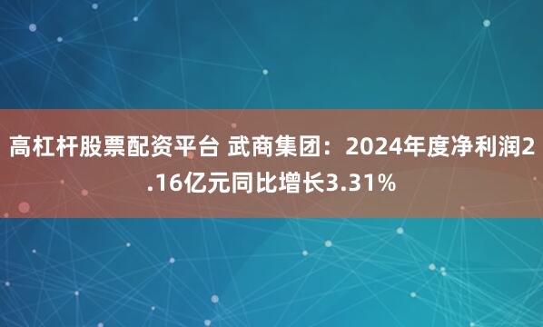 高杠杆股票配资平台 武商集团：2024年度净利润2.16亿元同比增长3.31%